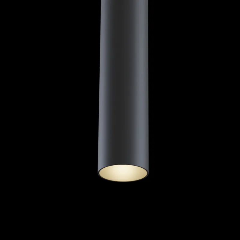 Pendul Sina Magnetica Maytoni Led, Negru, TR016-2-12W3K-B, Germania