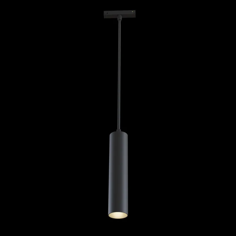 Pendul Sina Magnetica Maytoni Led, Negru, TR016-2-12W4K-B, Germania