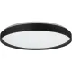 Plafoniera RGB Ringo ML9965 Milagro LED, Negru, Polonia