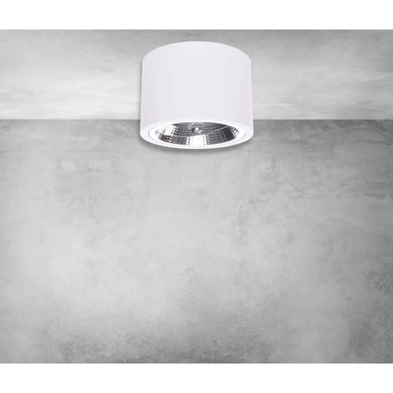 Downlight Circular Aplicat REDONDO Milagro Modern, AR111 GU10, Alb, ML5697, Polonia