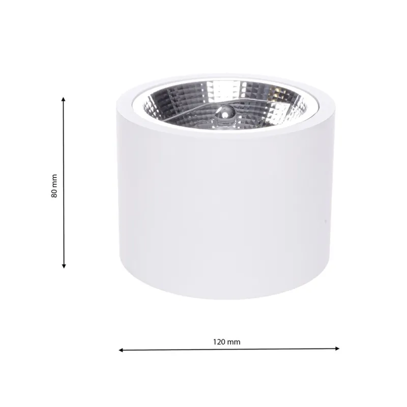 Downlight Circular Aplicat REDONDO Milagro Modern, AR111 GU10, Alb, ML5697, Polonia