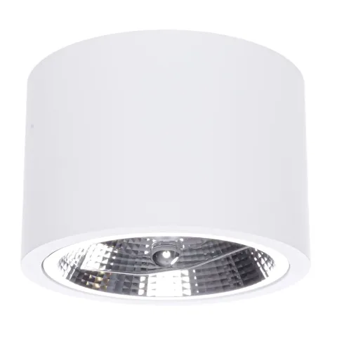 Downlight Circular Aplicat REDONDO Milagro Modern, AR111 GU10, Alb, ML5697, Polonia