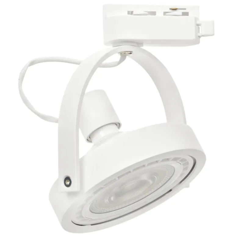 Downlight pe Sina LUGAR Milagro Modern, AR111 GU10, Alb, ML5701, Polonia