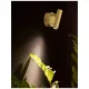 Aplica Tehnica CLIP Nova Luce Modern, Led, 9030203, Grecia