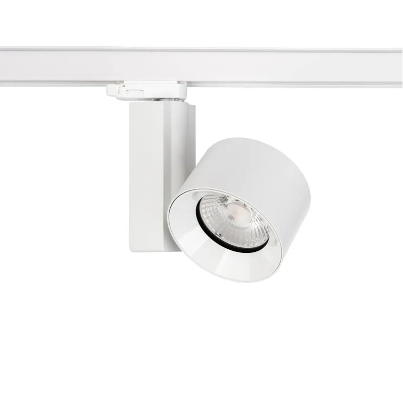 Spot Sina 3 Faze Ctls Nea Led 40W 8748 Nowodvorski LED, Alb, Polonia