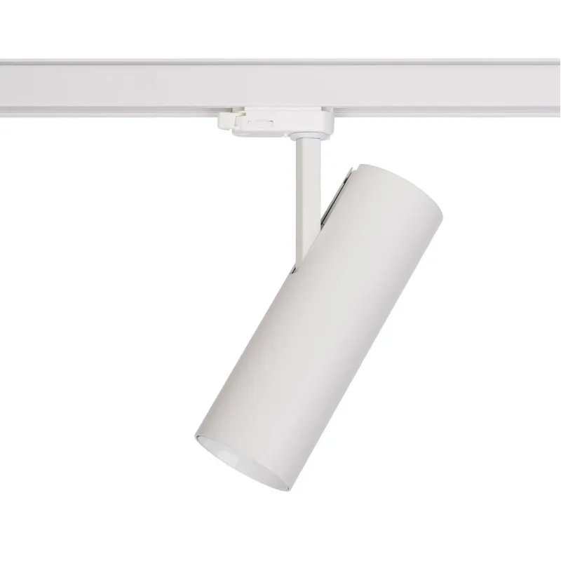 Spot Sina 3 Faze Ctls Milo Led 25W 8761 Nowodvorski LED, Alb, Polonia