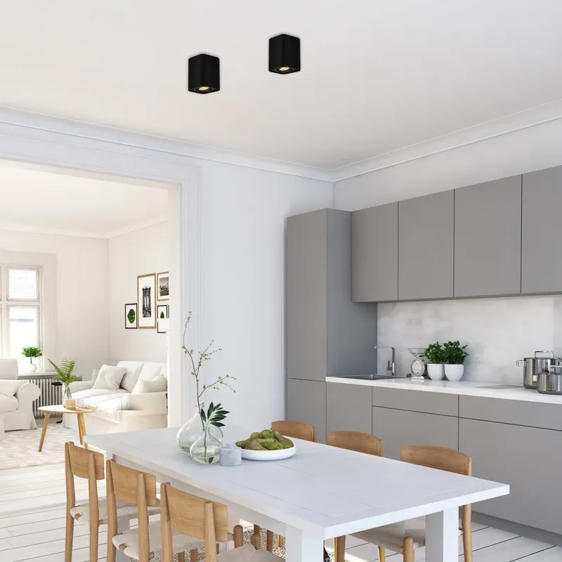 Downlight Aplicat 2049 Kobald Rabalux, Minimalist, Gu10