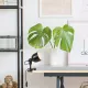 Lampa de birou 3092 Flint Rabalux, Industrial, E14, Negru