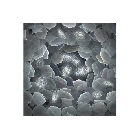 Tablou Decorativ Schuller ·Polaris· Photo, 120X120 257831 Spania