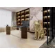 Figurina Decorativa Schuller -Future Cat- Cat Figure, Gold 598743 Spania