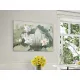 Tablou Decorativ Schuller ·Nenufares Ii· Photo, 80X120 630429 Spania
