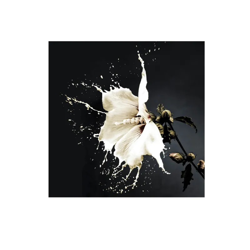Tablou Decorativ Schuller ·Splash· Photo, 100X100 719360 Spania