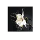 Tablou Decorativ Schuller ·Splash· Photo, 100X100 719360 Spania