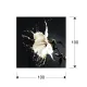 Tablou Decorativ Schuller ·Splash· Photo, 100X100 719360 Spania