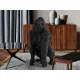 Figurina Decorativa Schuller ·Gorila· Large Figure, Black 957137 Spania