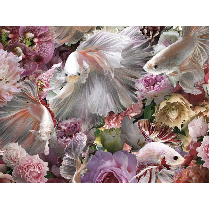 Tablou Decorativ Schuller ·Peces Luchador Siam· Photo, 120X120 987165 Spania