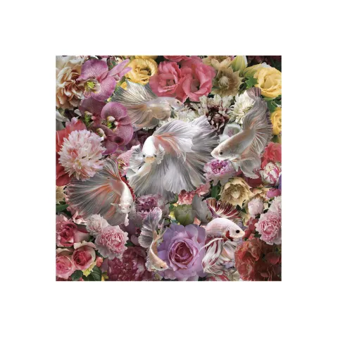 Tablou Decorativ Schuller ·Peces Luchador Siam· Photo, 120X120 987165 Spania