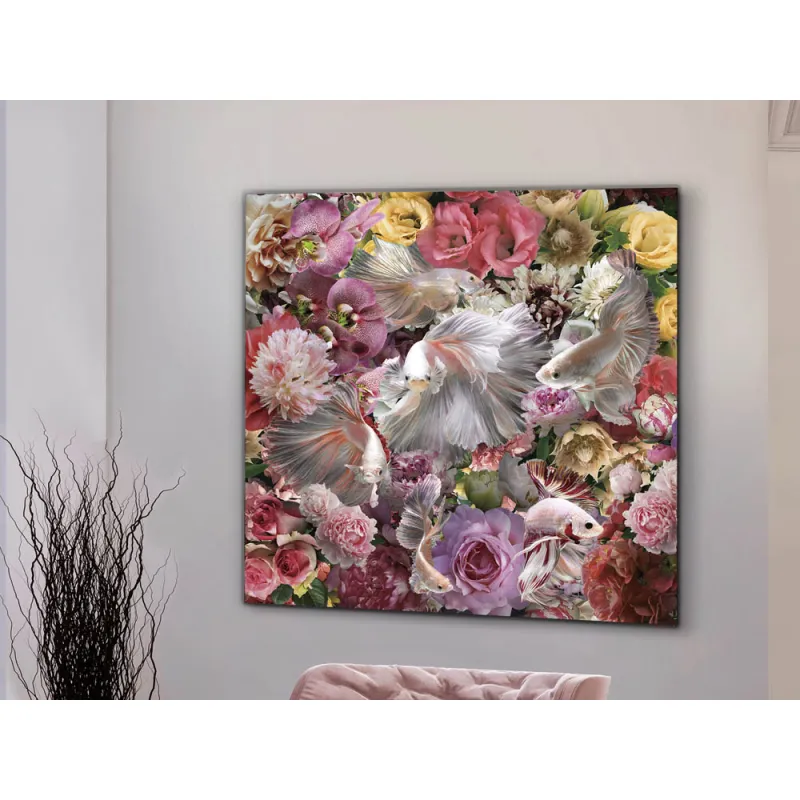 Tablou Decorativ Schuller ·Peces Luchador Siam· Photo, 120X120 987165 Spania