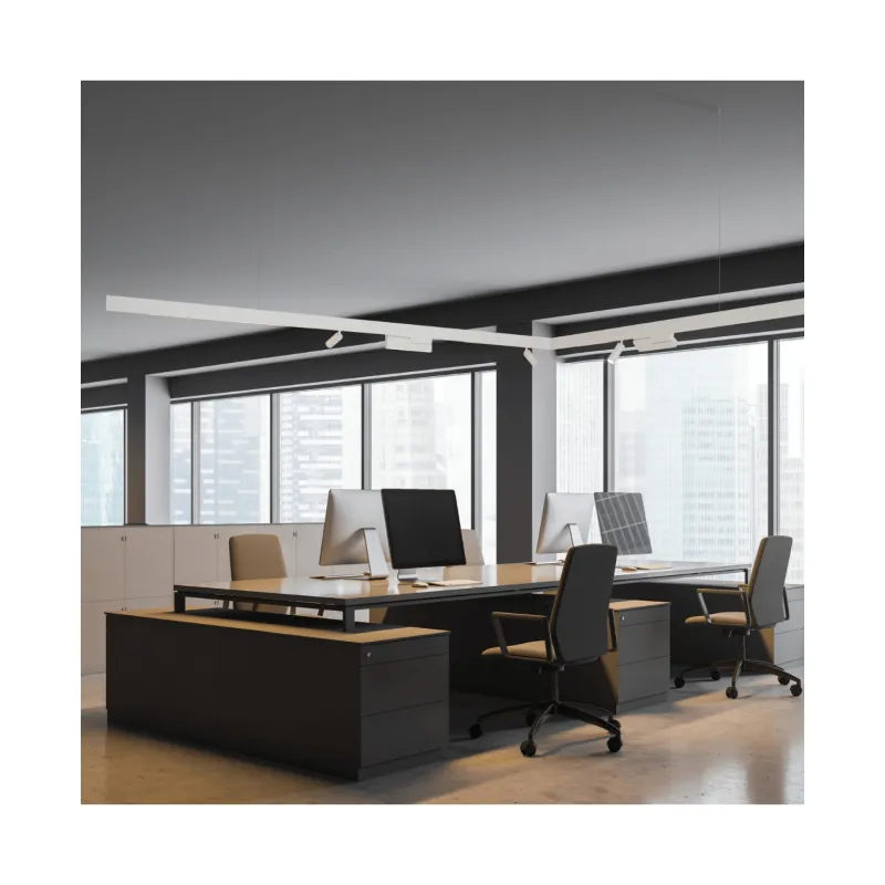 Downlight Șina Magnetică 20291-W Zambelis, Led