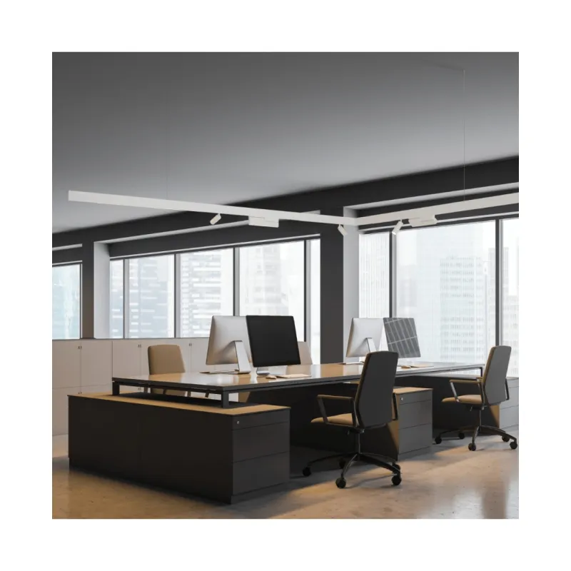 Downlight Șina Magnetică 20291-W Zambelis, Led