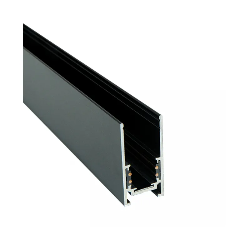 Șina Magnetică 22273B-3 Zambelis