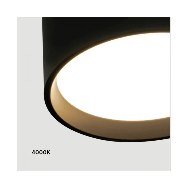Plafoniera 25216 Zambelis, Modern, Led, Negru