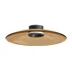 Plafoniera 25268 Zambelis, Modern, Led, Negru