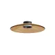 Plafoniera 25268 Zambelis, Modern, Led, Negru