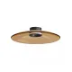 Plafoniera 25268 Zambelis, Modern, Led, Negru