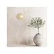 Aplica 25316 Zambelis, Modern, G9, Opal