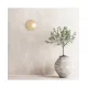Aplica 25316 Zambelis, Modern, G9, Opal