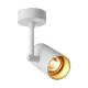 Downlight Aplicat TORI SL 1 WHITE-GOLD 20014-WH-N Zumaline GU10, Alb, Polonia