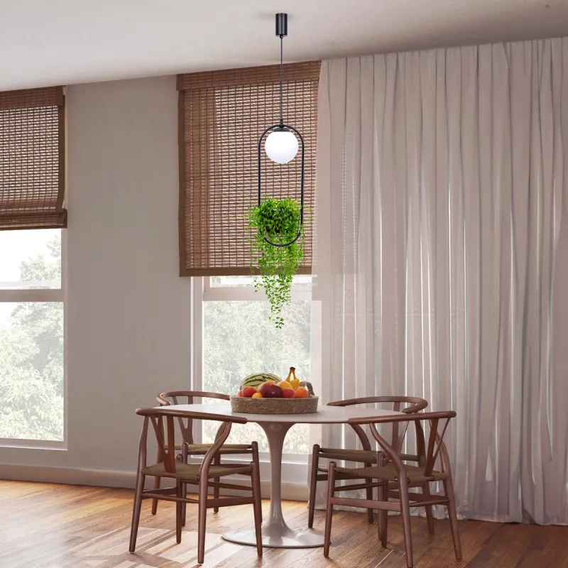 Pendul PLANT 5003 Zumaline E14, Negru, Polonia