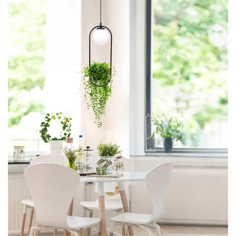 Pendul PLANT 5003 Zumaline E14, Negru, Polonia