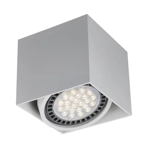 Downlight Aplicat BOX 1 ACGU10-114-N Zumaline GU10, Alb, Polonia