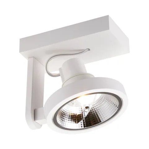 Downlight Aplicat MASTER ACGU10-180-N Zumaline GU10, Alb, Polonia