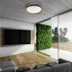Plafoniera BOIS CL2204003-390MBWT Zumaline LED, Negru, Polonia