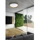 Plafoniera BOIS CL2204003-490MBWT Zumaline LED, Negru, Polonia