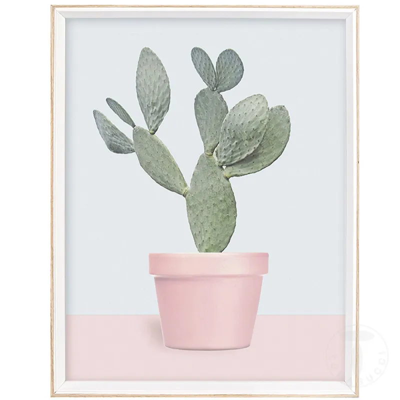 Tablou Succulent Plant 3658 Tomasucci Italia 
