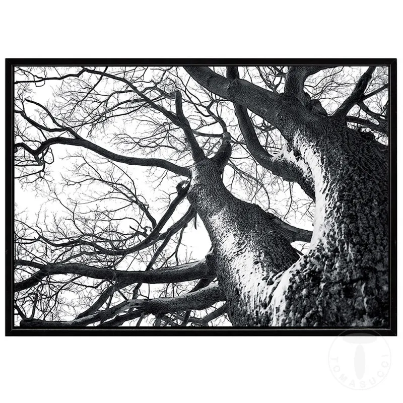 Tablou Winter Tree 3663 Tomasucci Italia 