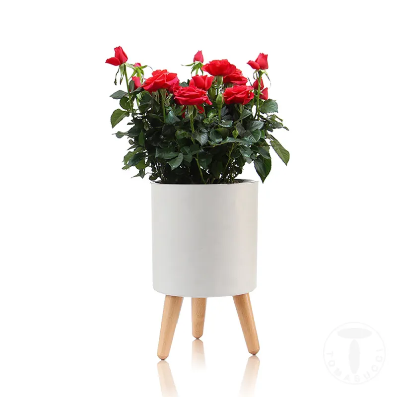 Ghiveci Cu Autoudare De Interior-Exterior Calla - A 4150 Tomasucci Italia 