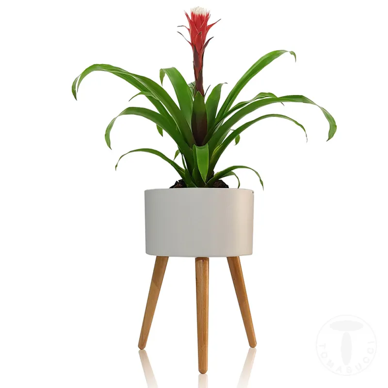 Ghiveci Cu Autoudare De Interior-Exterior Calla - C 4152 Tomasucci Italia 
