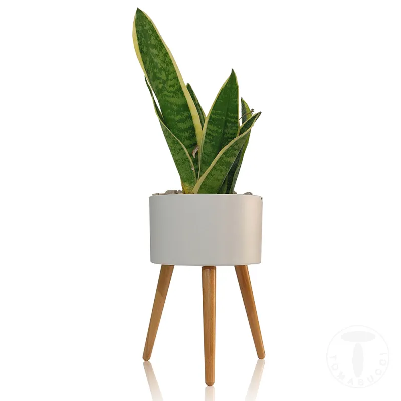 Ghiveci Cu Autoudare De Interior-Exterior Calla - C 4152 Tomasucci Italia 