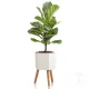 Ghiveci Cu Autoudare De Interior-Exterior Calla - D 4153 Tomasucci Italia 