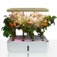 Sera Hidroponica Green Garden 4163 Tomasucci Italia 