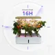 Sera Hidroponica Green Garden 4163 Tomasucci Italia 