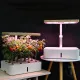 Sera Hidroponica Green Garden 4163 Tomasucci Italia 