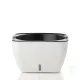Ghiveci Cu Udare Automata Interior-Exterior Lily 4164 Tomasucci Italia 