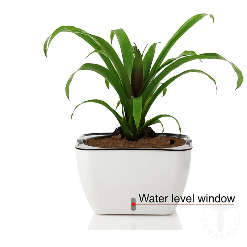 Ghiveci Cu Udare Automata Interior-Exterior Lily 4164 Tomasucci Italia 