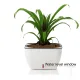 Ghiveci Cu Udare Automata Interior-Exterior Lily 4164 Tomasucci Italia 